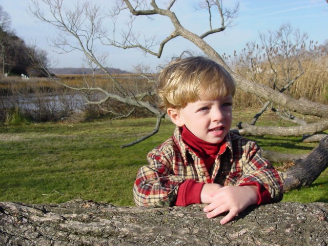 Click for original image 836k 1600x1200